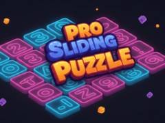 Professionelles Schiebespiel - crazygames