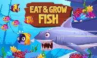 Essen und wachsen Fische - crazygames