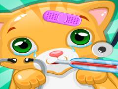 Katzenarzt: Rette meine Katze - crazygames