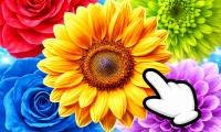 Die Blumen: Bouquets mischen und verkaufen - crazygames