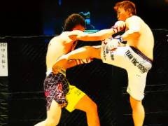 UFC-Kampf-Puzzle - crazygames