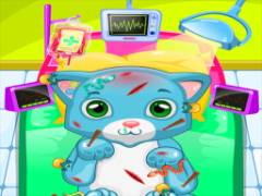ASMR Katzenarztpraxis - crazygames