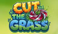 Gras mähen 3D - crazygames