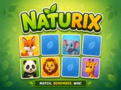 Naturix - crazygames